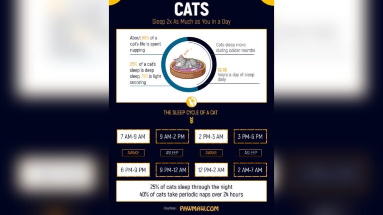 Why is My Cat Eating Less And Sleeping More? Causes & Solutions