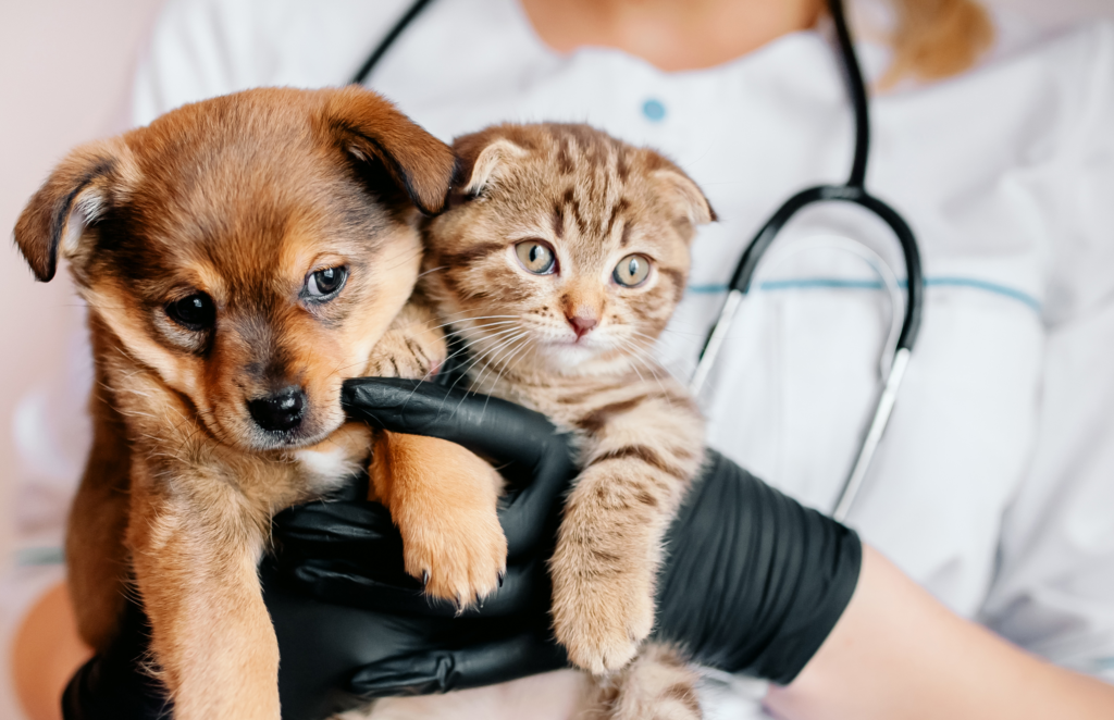 Pet-Vaccines