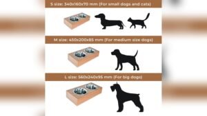 Are Elevated Dog Bowls Good for Small Dogs? Expert Guide