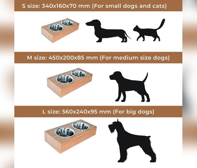 Are Elevated Dog Bowls Good for Small Dogs? Expert Guide