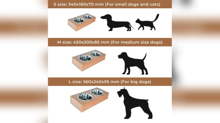 Are Elevated Dog Bowls Good for Small Dogs? Expert Guide