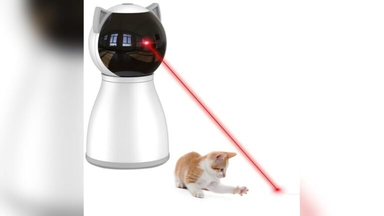 Automatic Laser Cat Toy With Timer: Best Buy Guide 2026