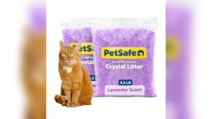 PetSafe ScoopFree Premium Crystal Cat Litter Review – 2 Pack