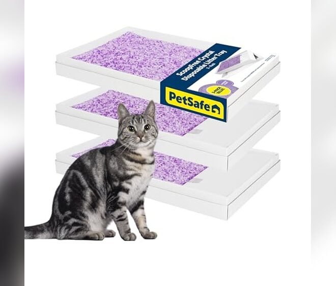 PetSafe ScoopFree Crystal Litter Tray Refills Review – 3-Pack Benefits
