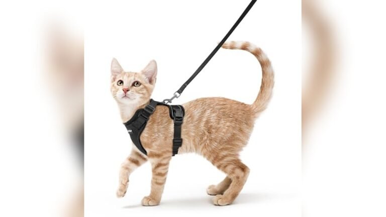 Rabbitgoo Escape Proof Cat Harness and Leash Set XS Review