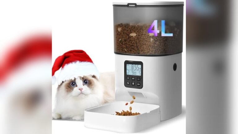 ANDOLL HOME Automatic Cat Feeder Review: 4L, 8 Meals, Voice