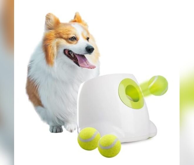 Best Automatic Ball Launcher for Small Dogs 2026: Top Picks Reviewed