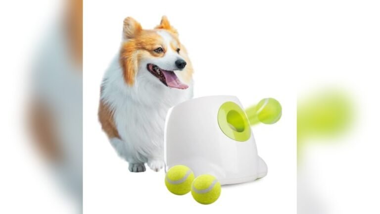Best Automatic Ball Launcher for Small Dogs 2026: Top Picks Reviewed