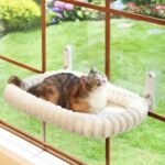Best Cat Window Hammock 2026: Top Picks for Happy Indoor Cats
