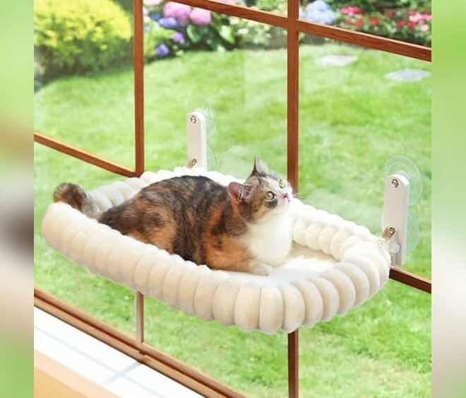 Best Cat Window Hammock 2026: Top Picks for Happy Indoor Cats