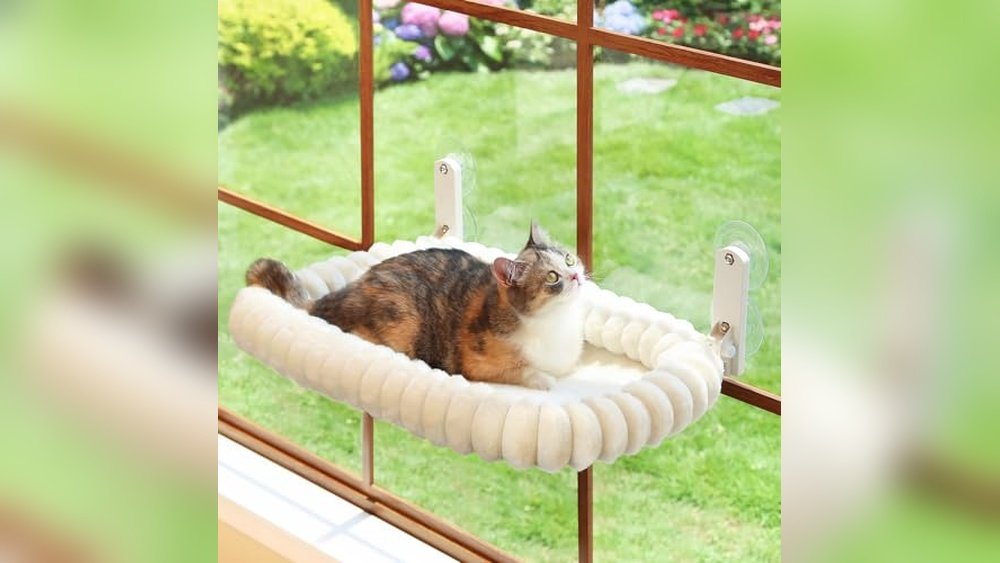 Best Cat Window Hammock