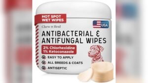 Best Dog Paw Wipes for Allergies 2026: Top Picks for Sensitive Pets