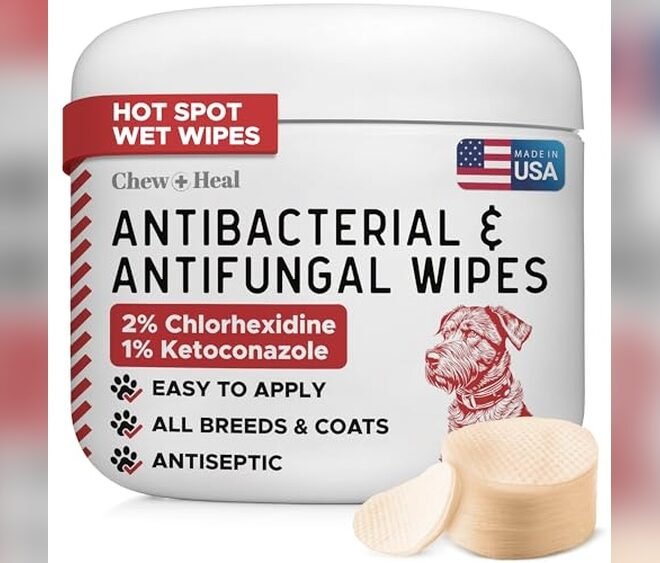 Best Dog Paw Wipes for Allergies 2026: Top Picks for Sensitive Pets