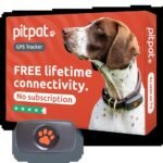 Best Dog Tracker Without Subscription: Top Picks for 2026