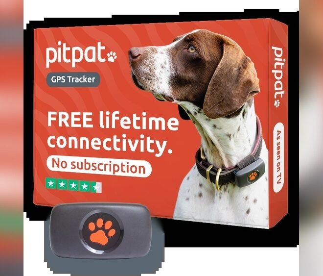 Best Dog Tracker Without Subscription: Top Picks for 2026