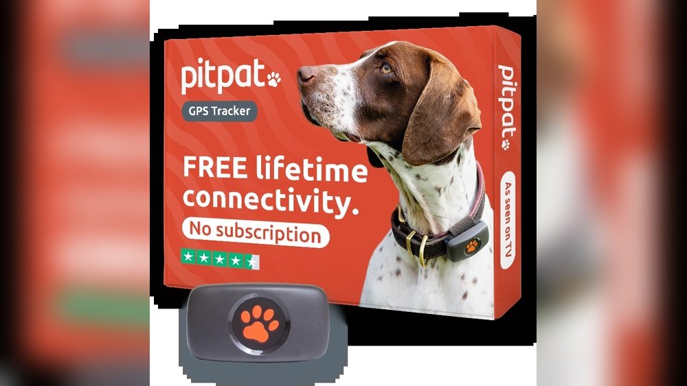 Best Dog Tracker Without Subscription