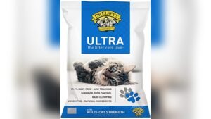 A Simple Guide to Choosing the Best Seafood Dry Cat Food