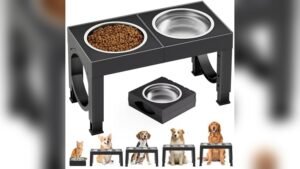Best Elevated Dog Bowls Compared: Top Picks for 2026