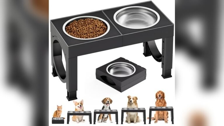 Best Elevated Dog Bowls Compared: Top Picks for 2026
