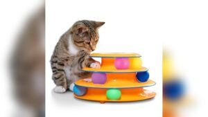 Top Interactive Cat Toys for Indoor Cats Compared 2026