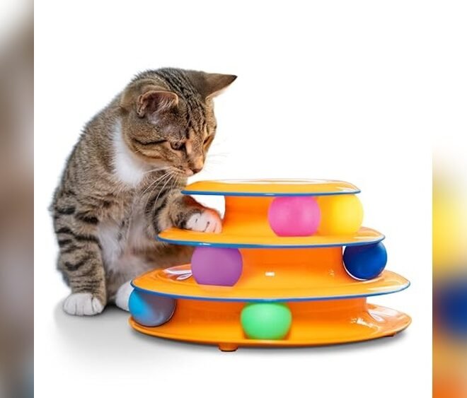 Top Interactive Cat Toys for Indoor Cats Compared 2026