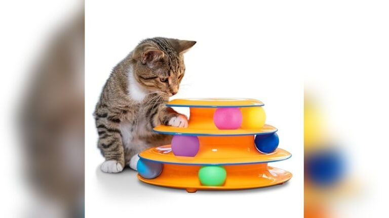 Top Interactive Cat Toys for Indoor Cats Compared 2026