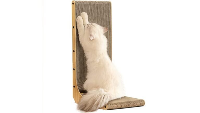 Top Interactive Cat Toys for Indoor Cats Compared 2026