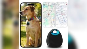 Best Pet Tracker Without Subscription 2026: Top Picks for Smart Pet Owners