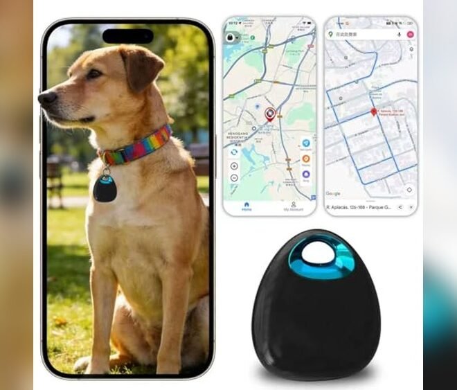 Best Pet Tracker Without Subscription 2026: Top Picks for Smart Pet Owners