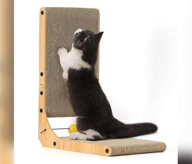 Best Wall Mounted Cat Scratcher 2026: Top Picks for Smart Cat Owners