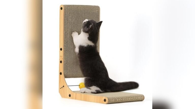 Best Wall Mounted Cat Scratcher 2026: Top Picks for Smart Cat Owners