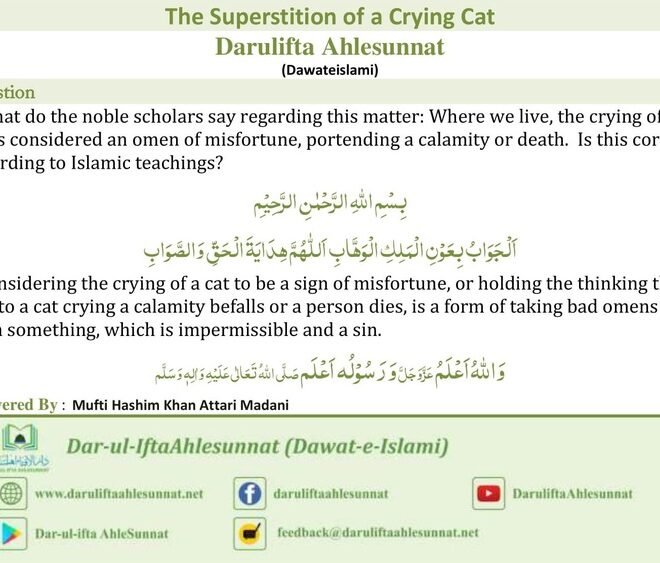 Cat Crying at Night Spiritual Meaning in Islam Explained