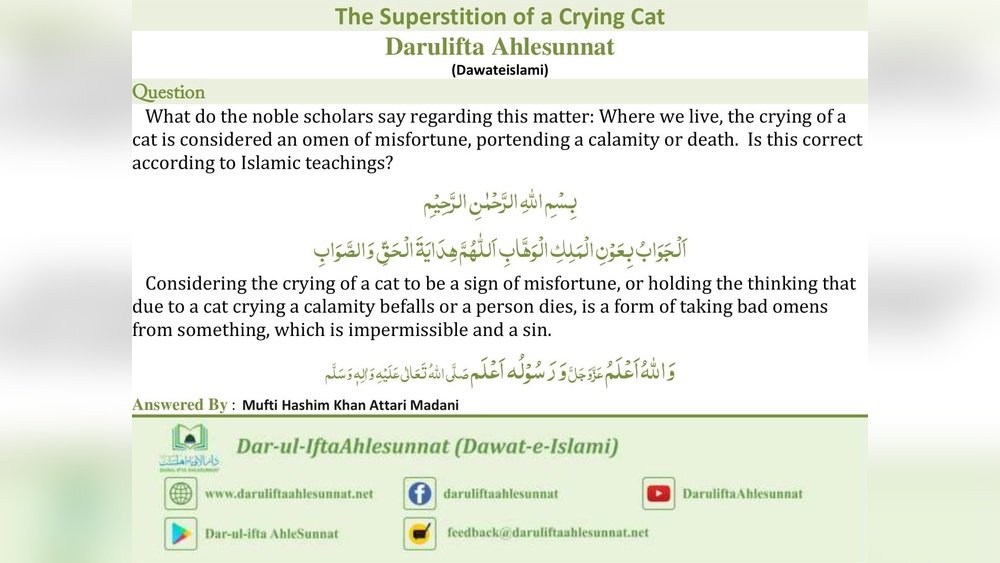 Cat Crying at Night Spiritual Meaning in Islam