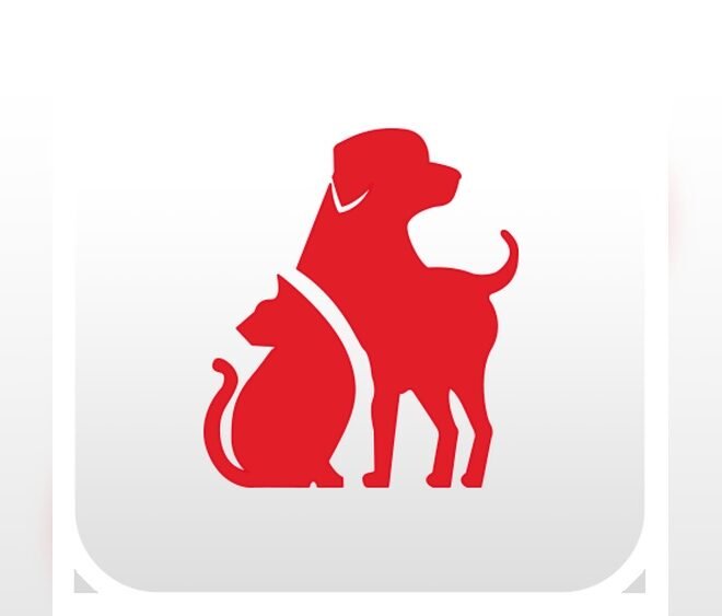 Free Dog First Aid Course Online: Protect Your Pet Today