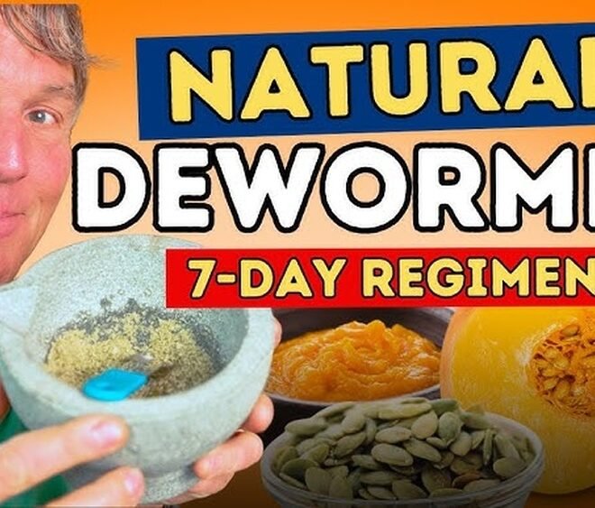 How to Deworm a Cat at Home Naturally: Safe DIY Remedies