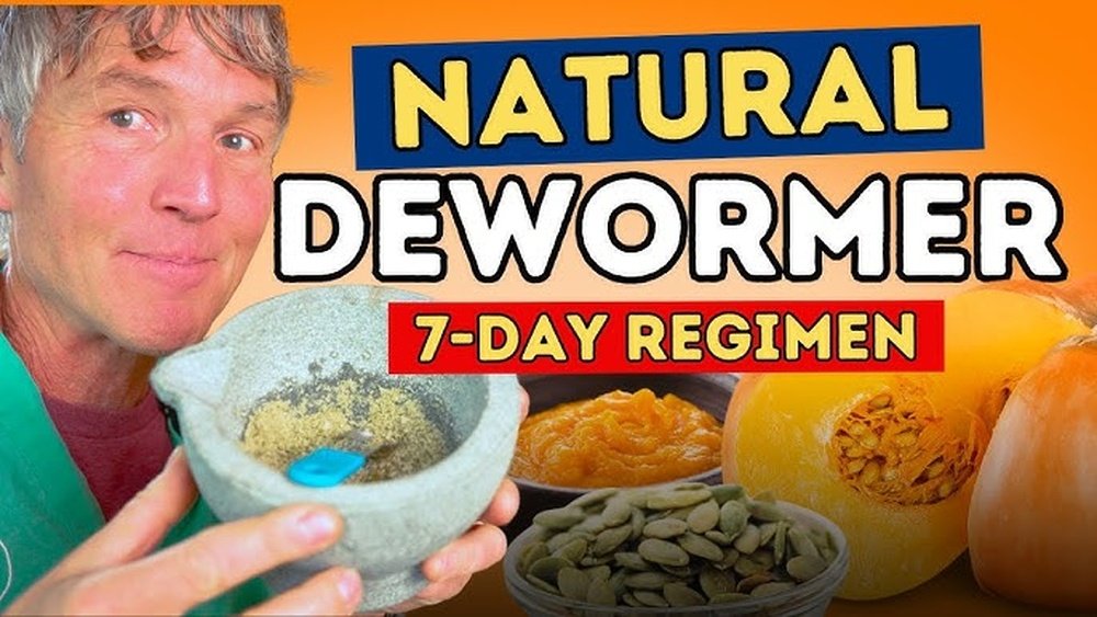 How to Deworm a Cat at Home Naturally
