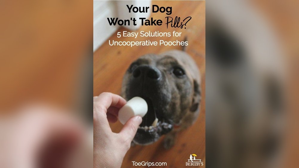 How to Give Dog Pills When They Refuse