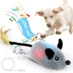 Moving Dog Toys for Small Dogs: Top Picks for Active Pups