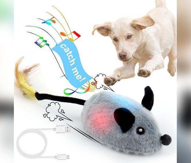 Moving Dog Toys for Small Dogs: Top Picks for Active Pups
