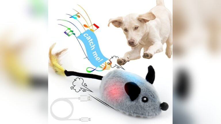 Moving Dog Toys for Small Dogs: Top Picks for Active Pups