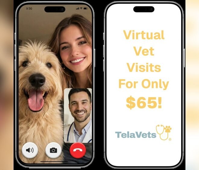 Online Vet Consultation And Prescription: Fast, Reliable Pet Care