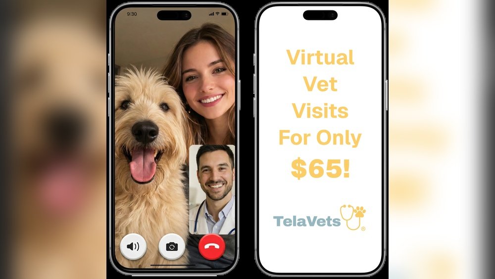 Online Vet Consultation And Prescription