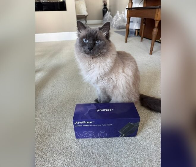 Petpace Collar Reviews: Is This Smart Pet Tracker Worth It?