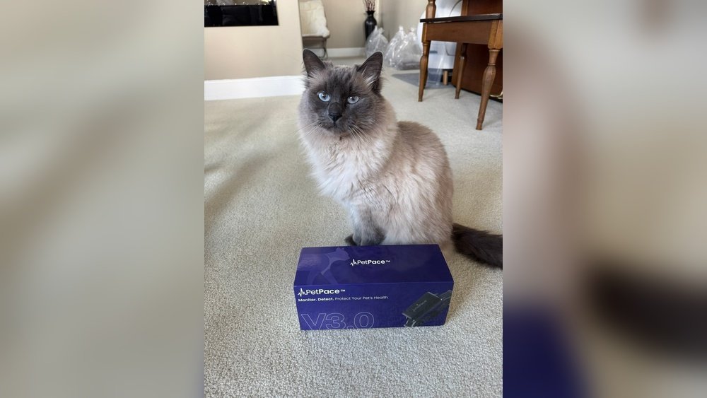 Petpace Collar Reviews
