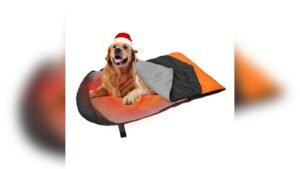 Rechargeable Heated Dog Bed 2026: Ultimate Cozy Solution for Pet Comfort