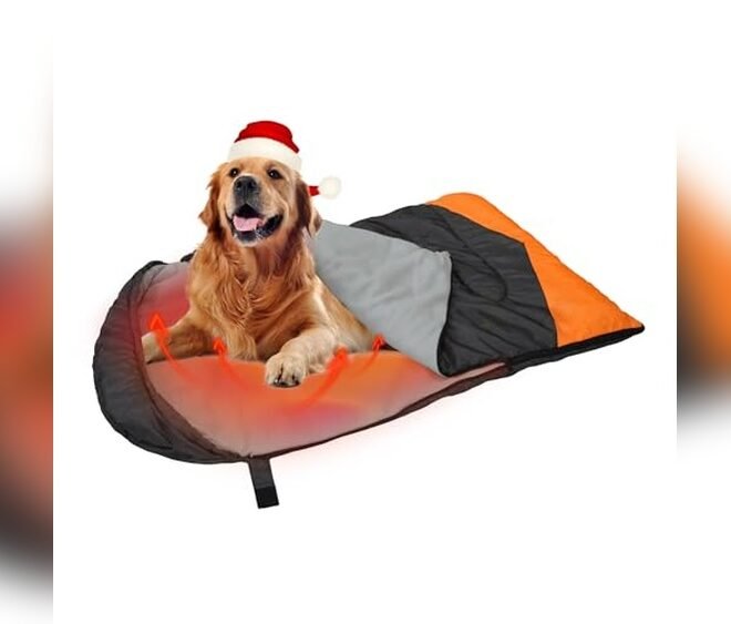 Rechargeable Heated Dog Bed 2026: Ultimate Cozy Solution for Pet Comfort