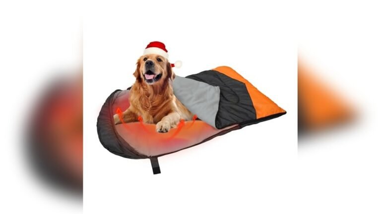 Rechargeable Heated Dog Bed 2026: Ultimate Cozy Solution for Pet Comfort