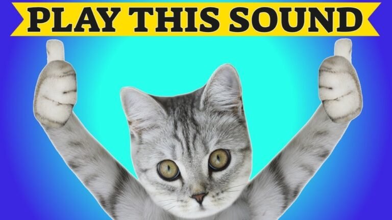 Sounds to Make Your Cat Come to You Guaranteed: Proven Tips