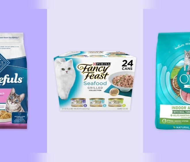 What Dry Cat Food Do Cats Like Best: Top Picks Revealed