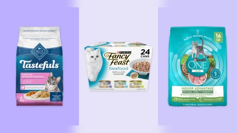 What Dry Cat Food Do Cats Like Best: Top Picks Revealed